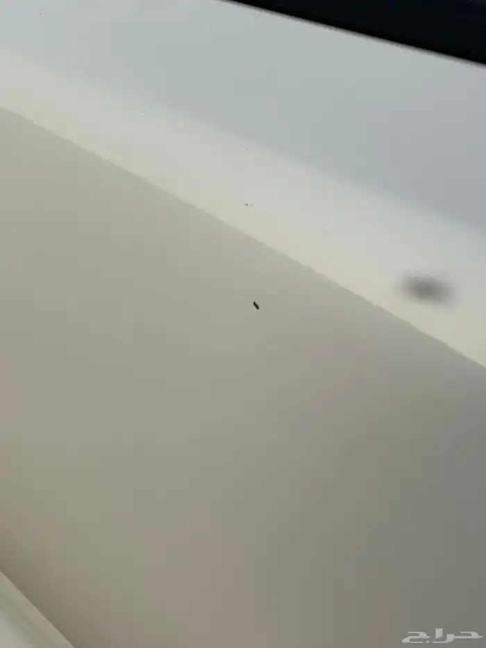 اوبتيما 2019 12