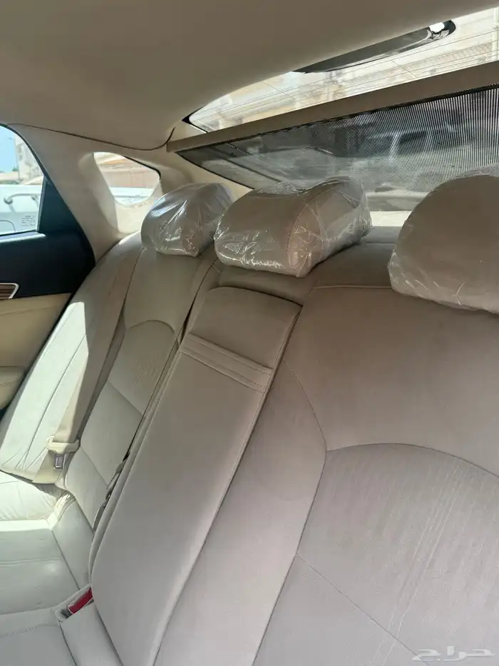 كادينزا 2018 0