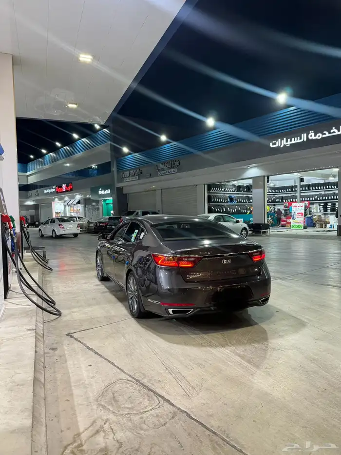 كادينزا 2018 8