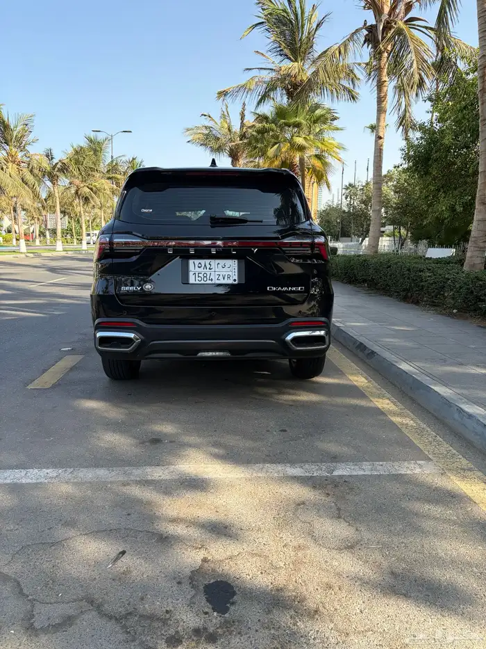 جيلي اوكافانجو 2024 1