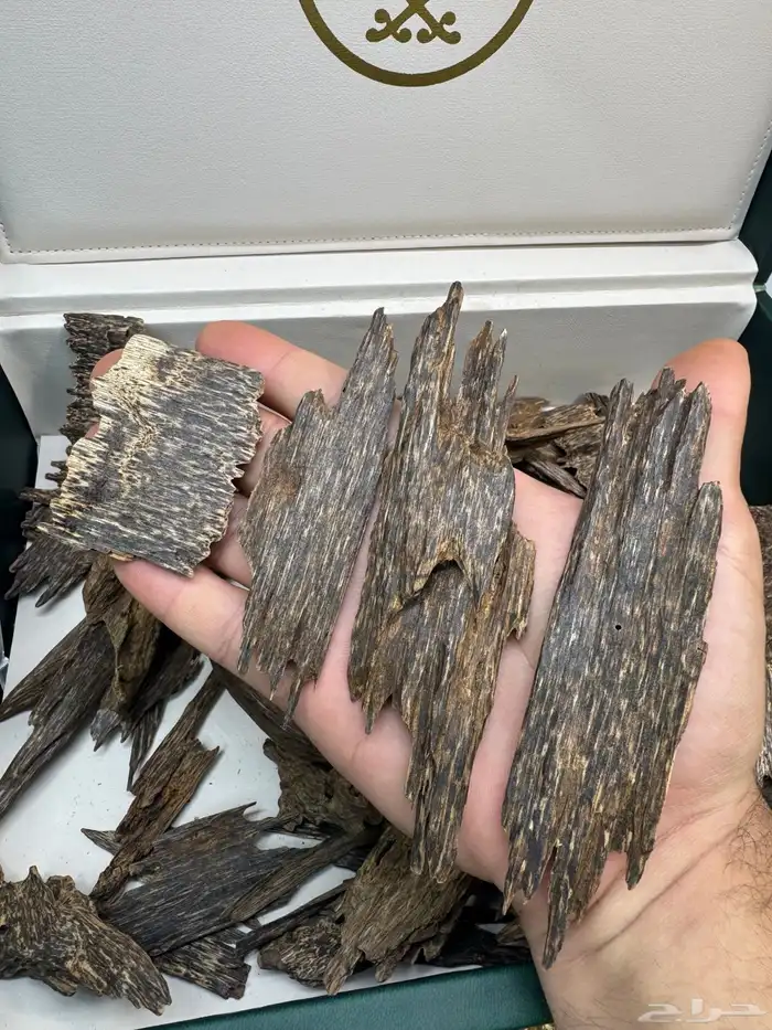 عود ماليزي قديم نوادر 2