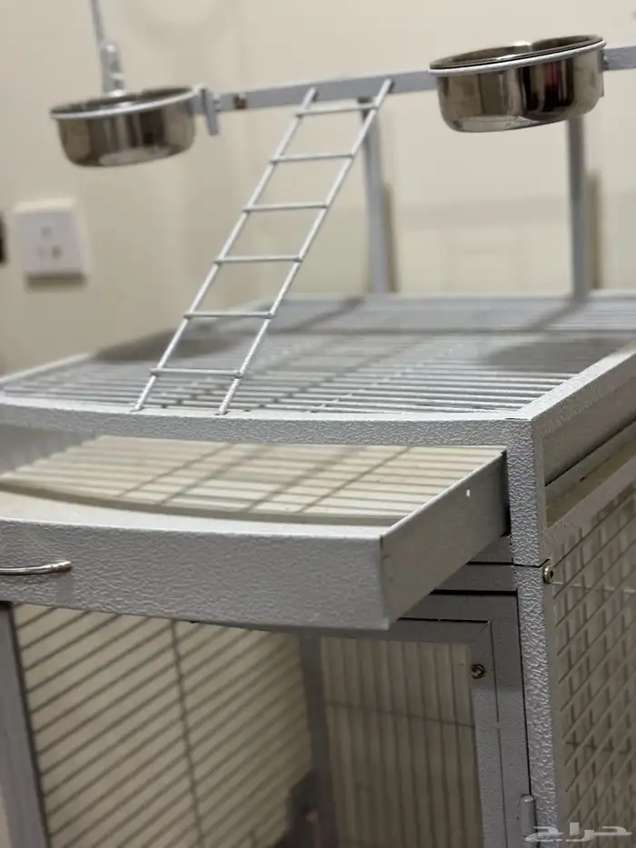 شبك ببغاء للبيع 5