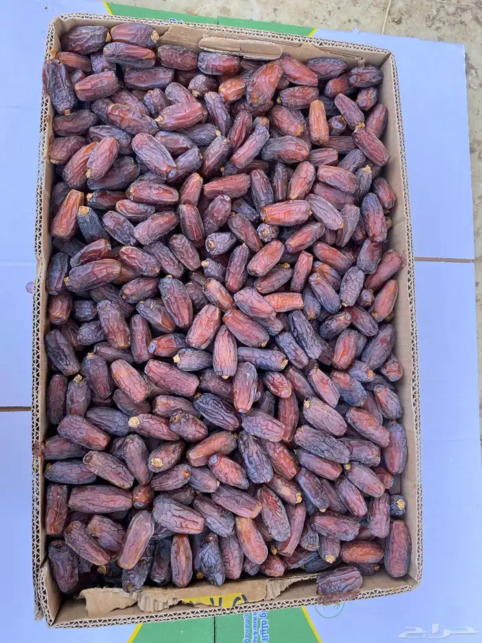 تمر مبروم للبيع 0