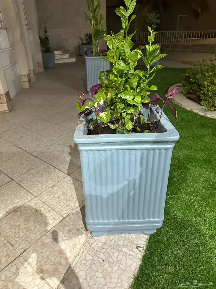 تنسيق الحدائق 17