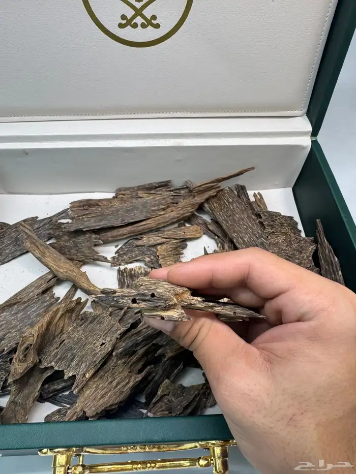 عود ماليزي قديم نوادر 1