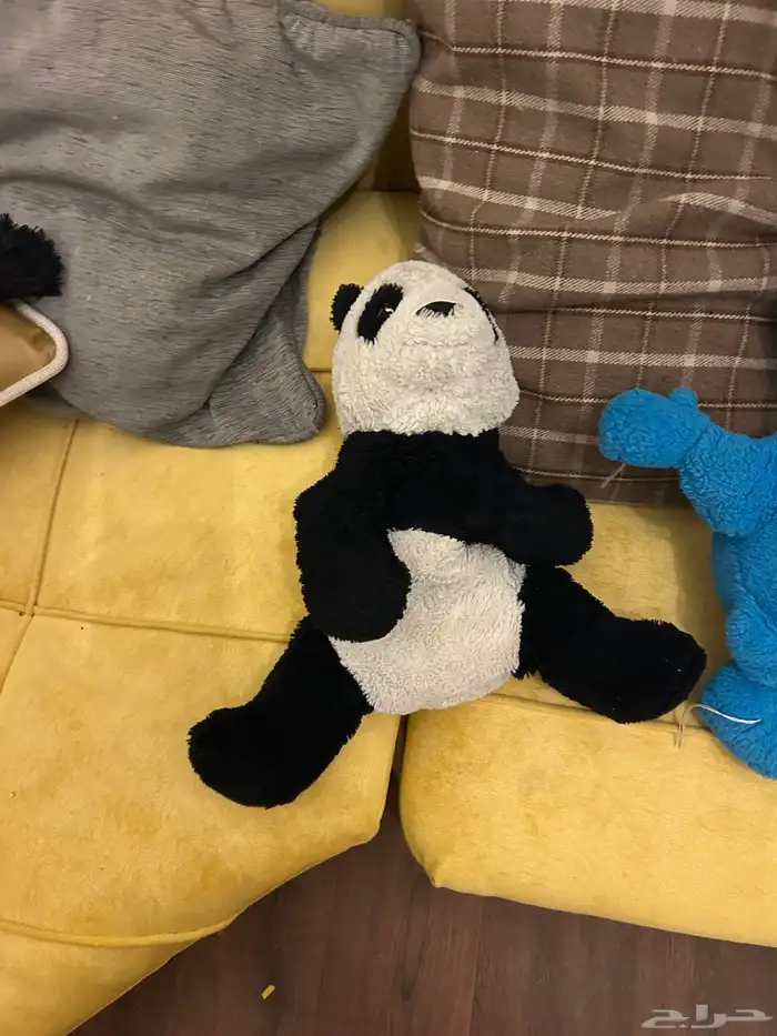 ب 50 و الباقي مجان 3