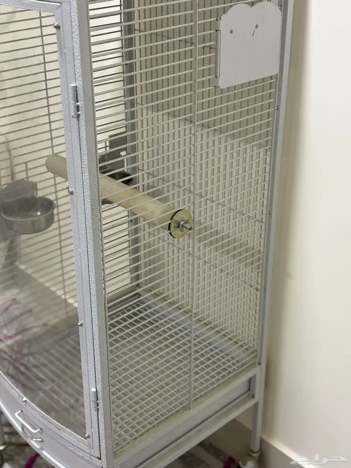 شبك ببغاء للبيع 2