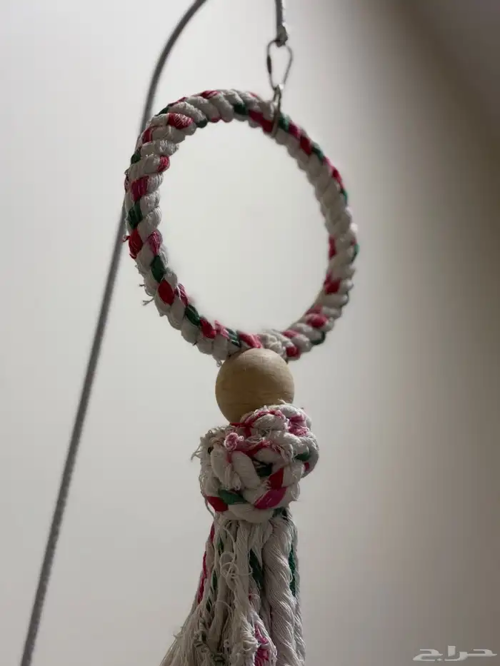 شبك ببغاء للبيع 6