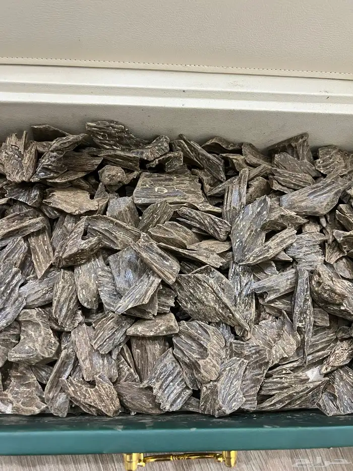 عود درجه اولى ثبات وفوحان 0