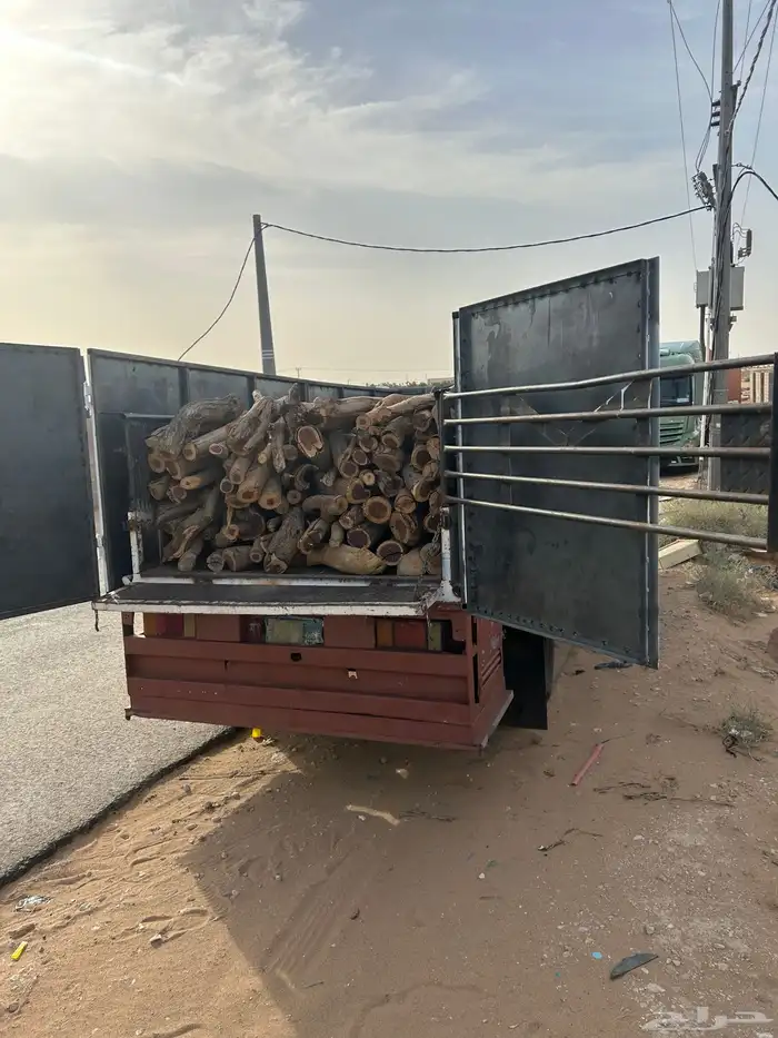 ح ط ب المدينه 7