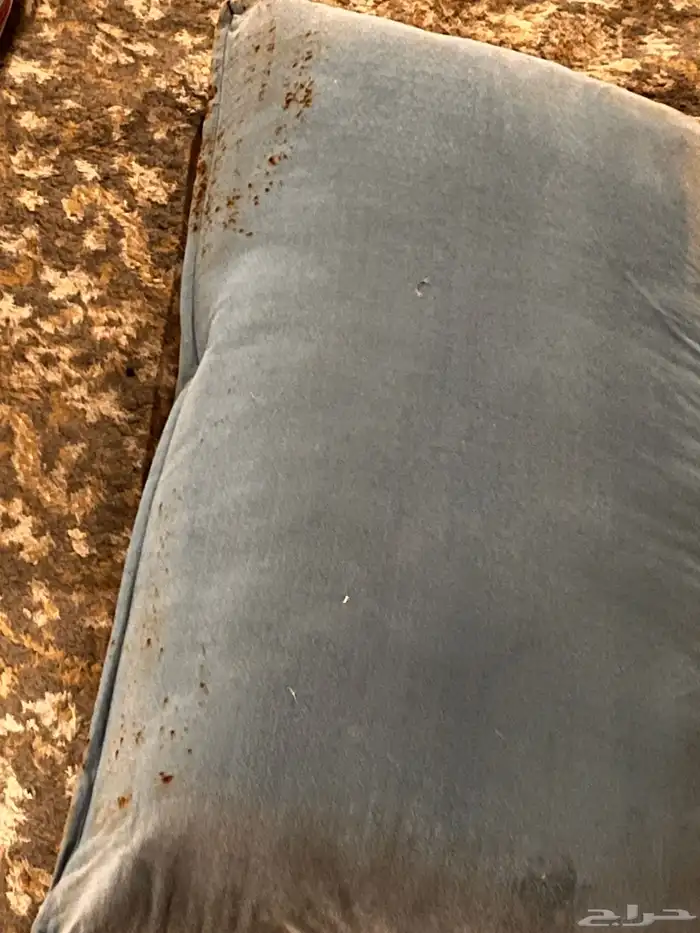 فرشة ومساند 0