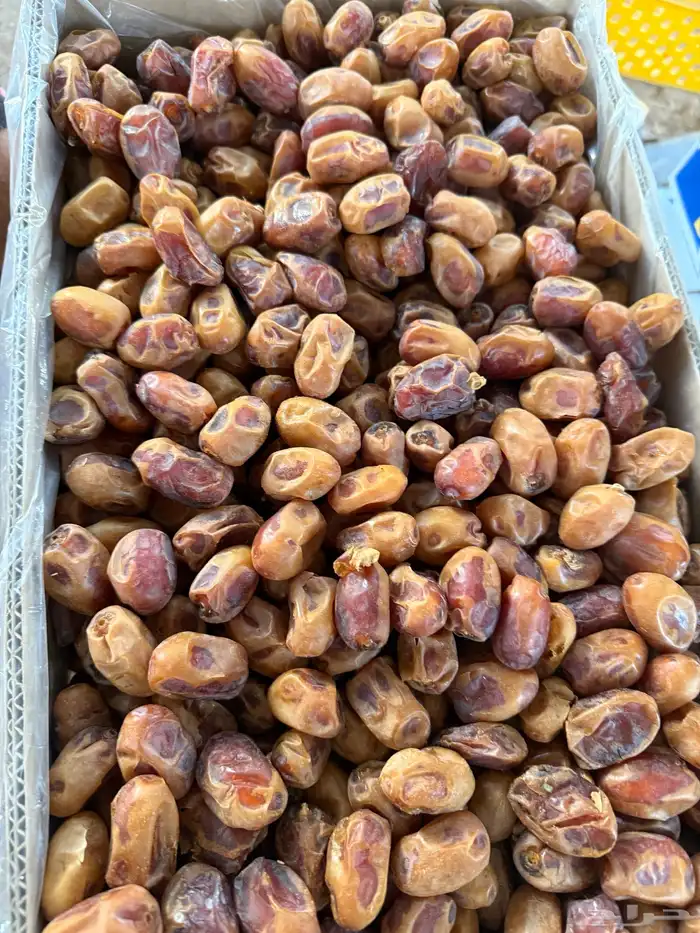 تمر للبيع 6