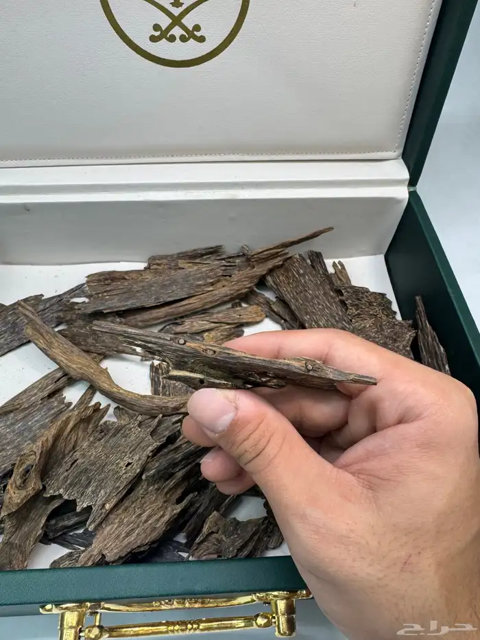 عود ماليزي قديم نوادر 0