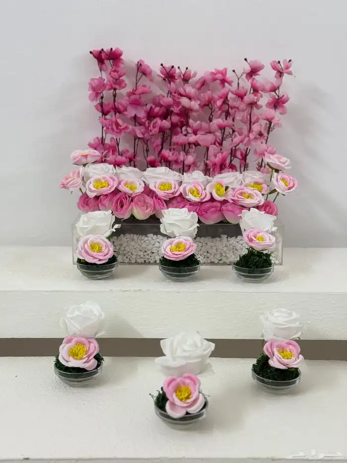 تنسيق مواليد 0