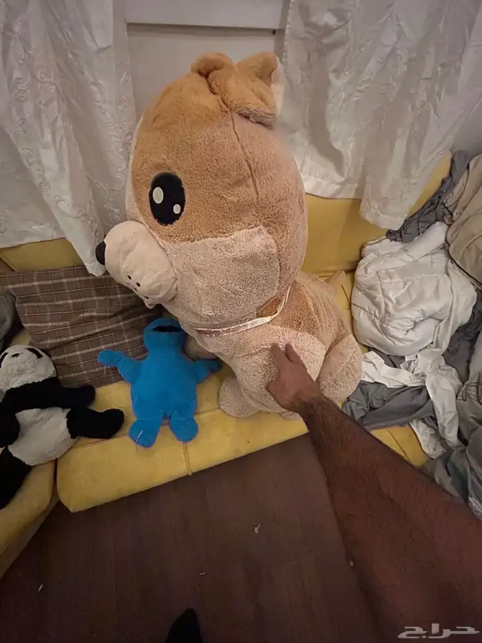 ب 50 و الباقي مجان 1