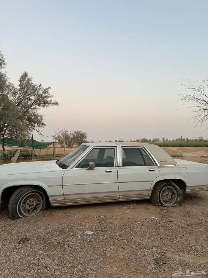 فورد فكتوريا 1989 3
