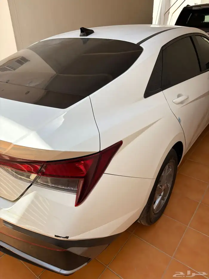 النترا 2024 3