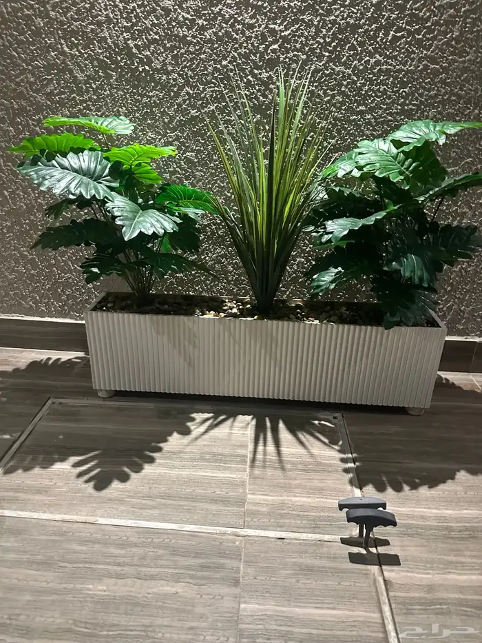 تنسيق الحدائق 8