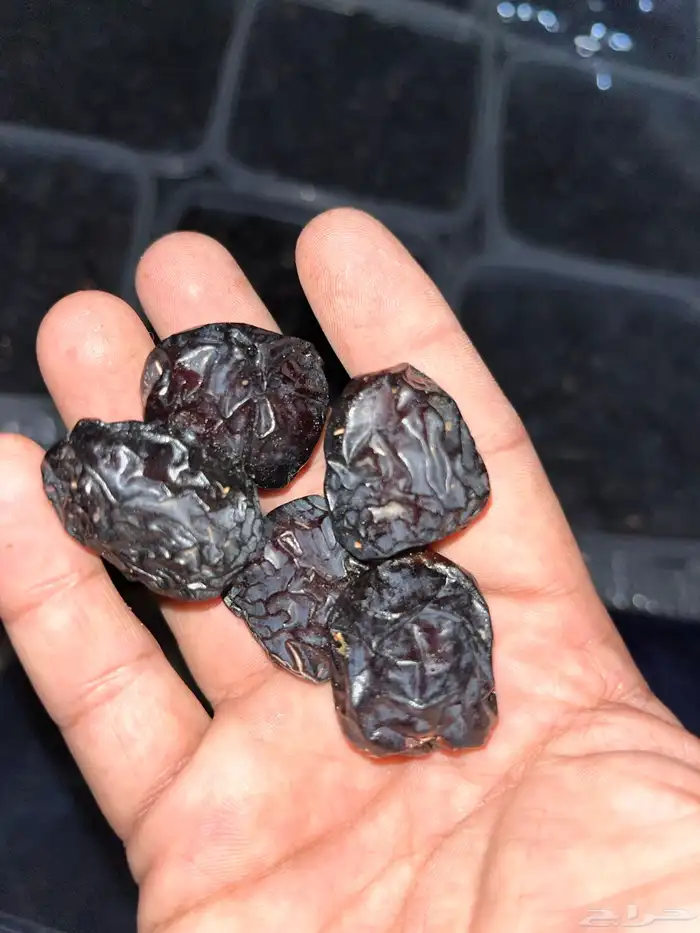 تمر عجوه 0