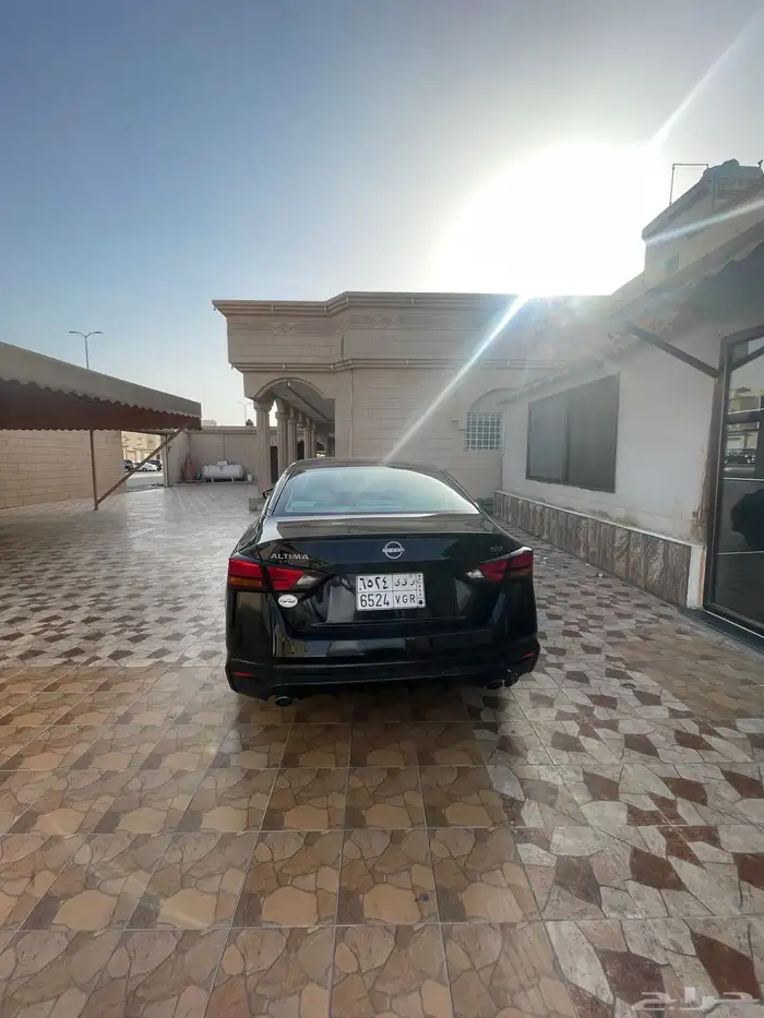 التيما للبيع 2023 7