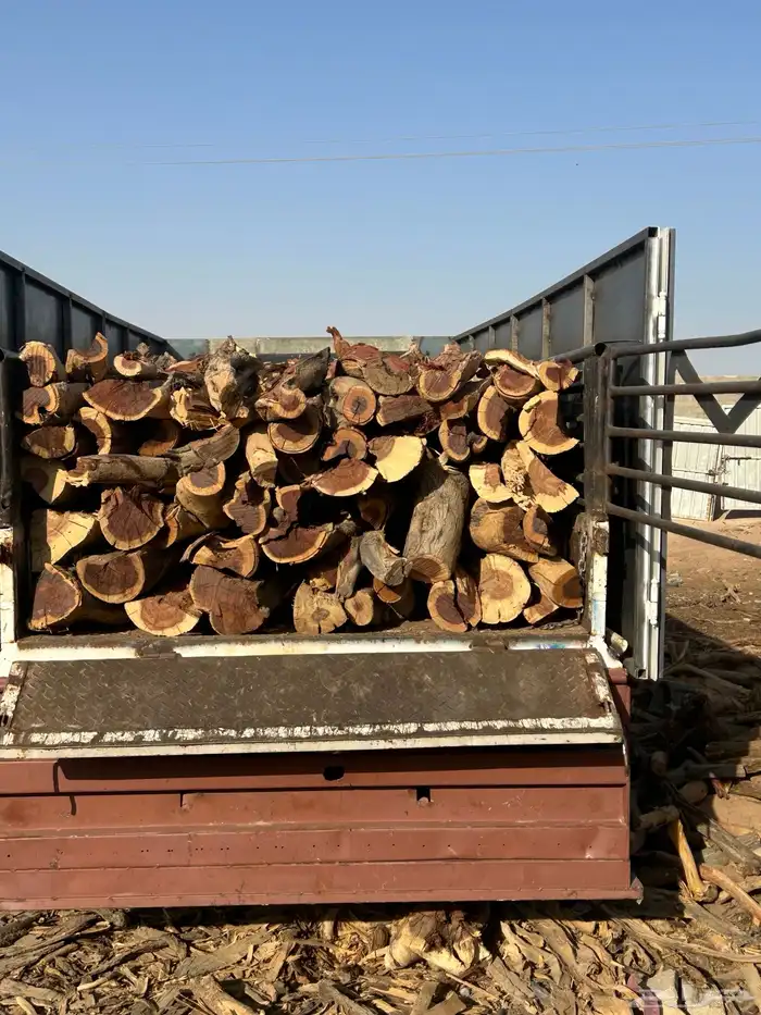 ح ط ب المدينه 2