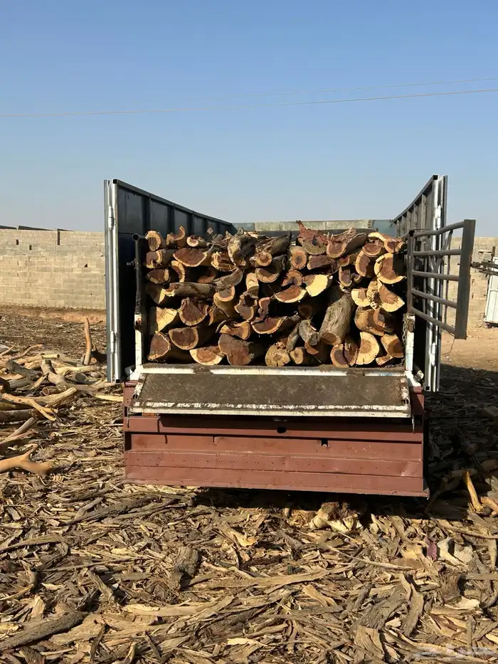 ح ط ب المدينه 3