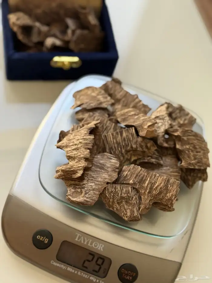 عود فيتنامي طبيعي بدون أي اضافات 1