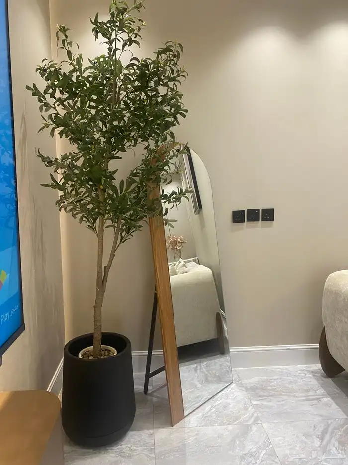 شاليه شاليهات جيزان حي السويس 10