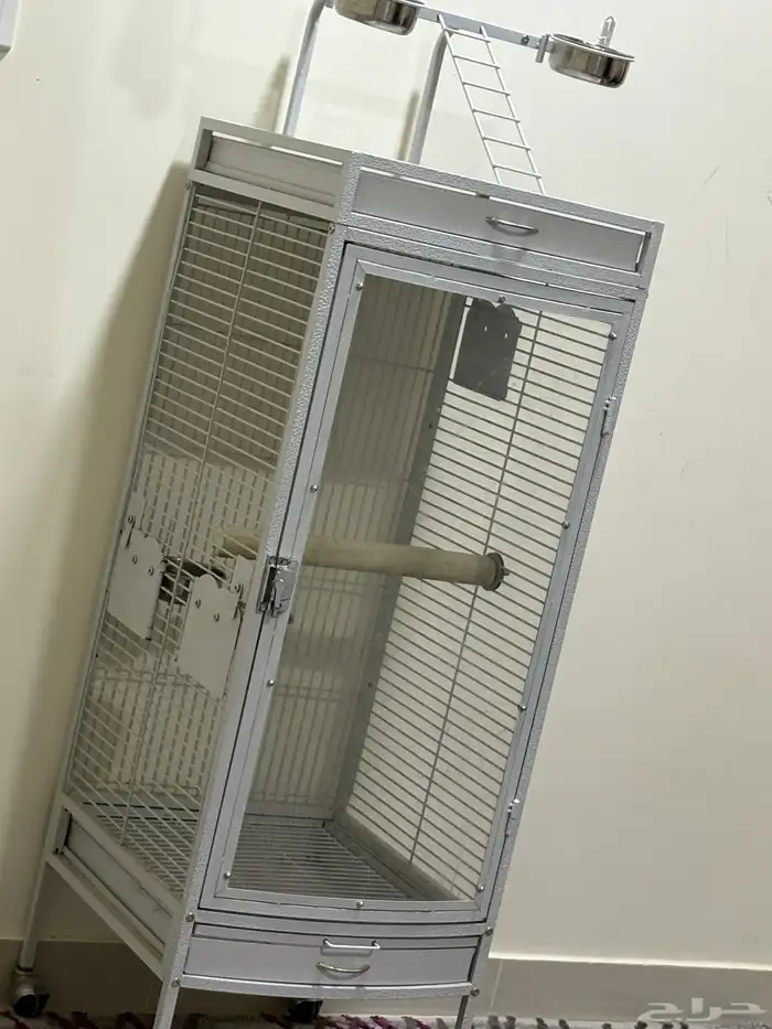 شبك ببغاء للبيع 0