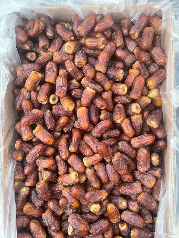 برني العيص 0