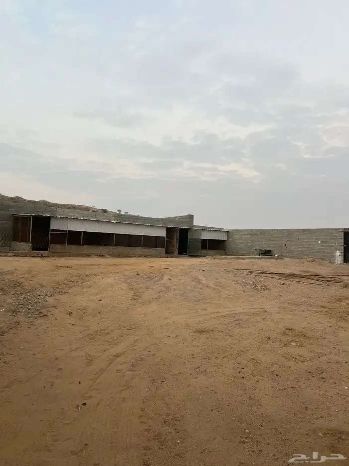 حوش للايجار 9
