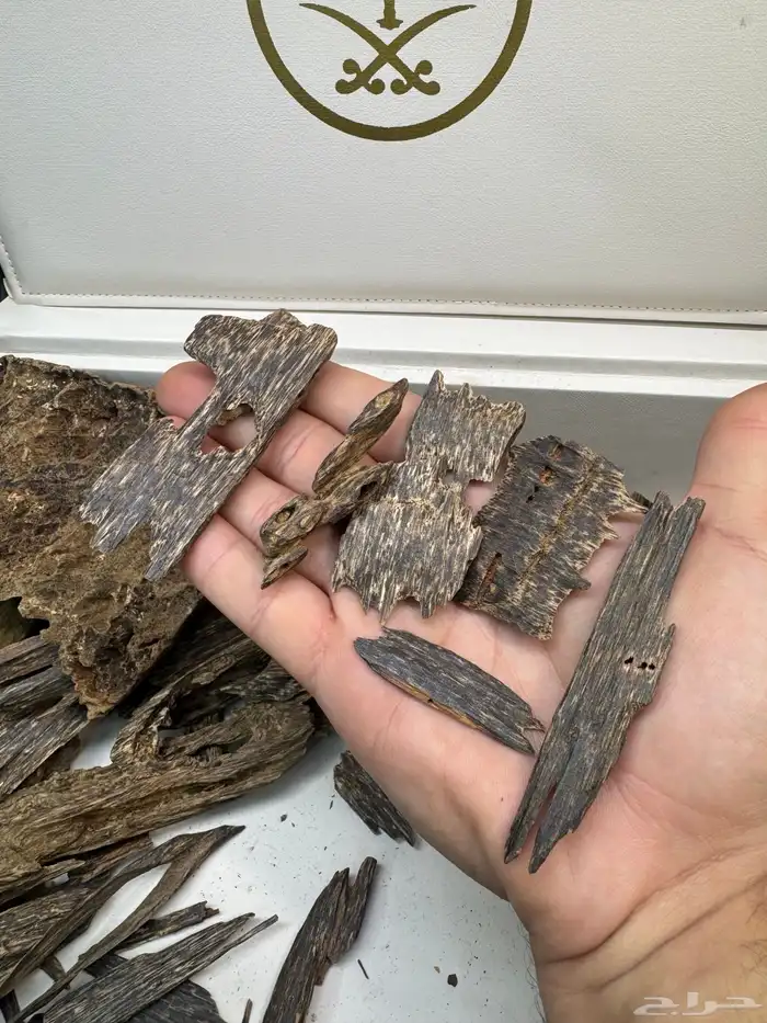 عود ماليزي قديم نوادر 4