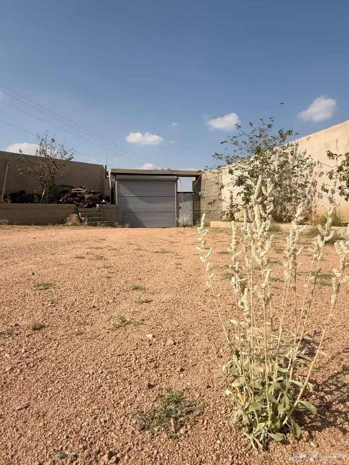 استراحة بضيافة خاصه ومزرعة في الحمرة ظهران الجنوب 15