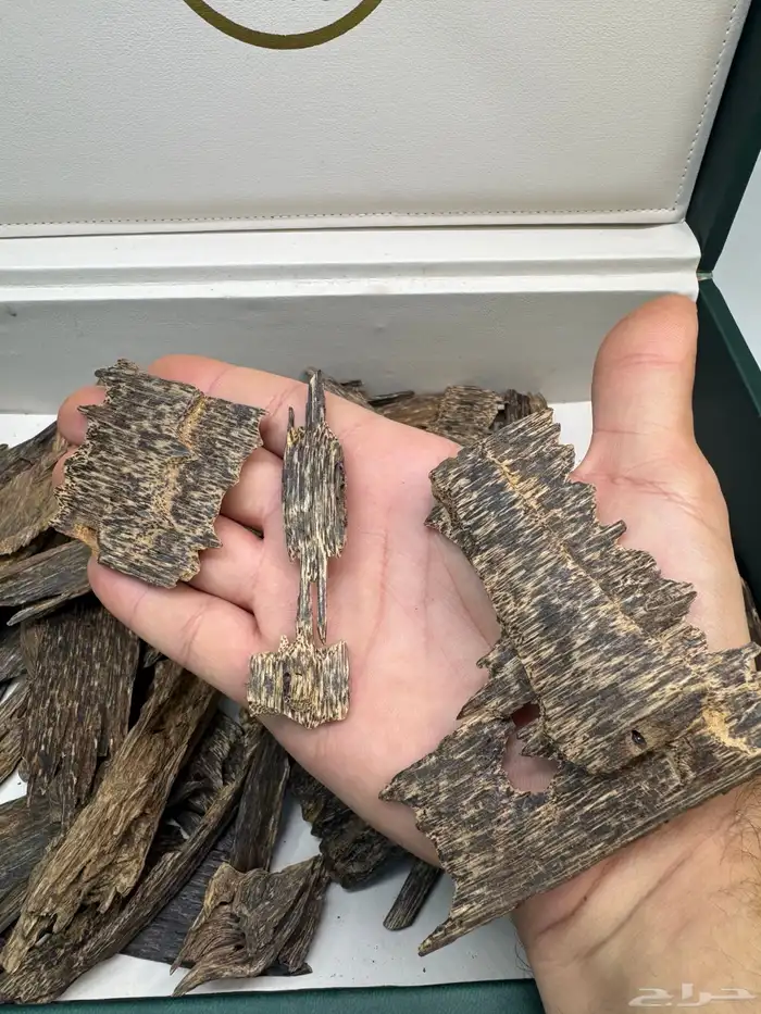 عود ماليزي قديم نوادر 5