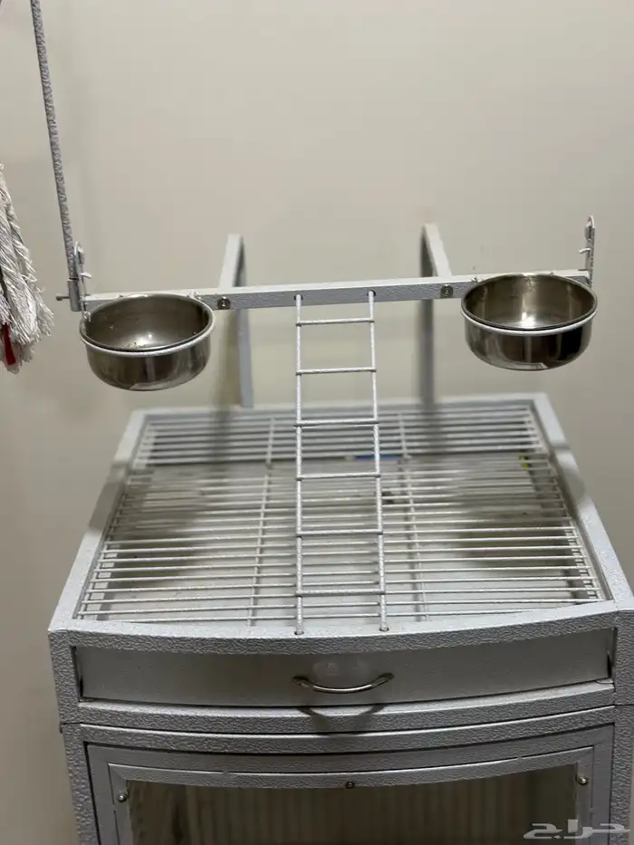 شبك ببغاء للبيع 1