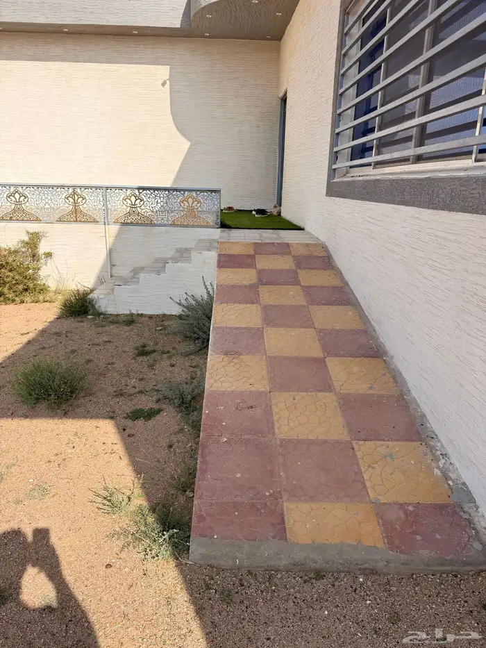 استراحة بضيافة خاصه ومزرعة في الحمرة ظهران الجنوب 16