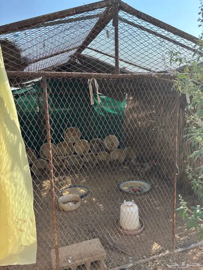 شبك حمام 1