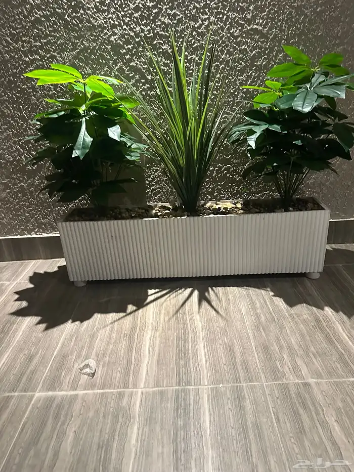 تنسيق الحدائق 10