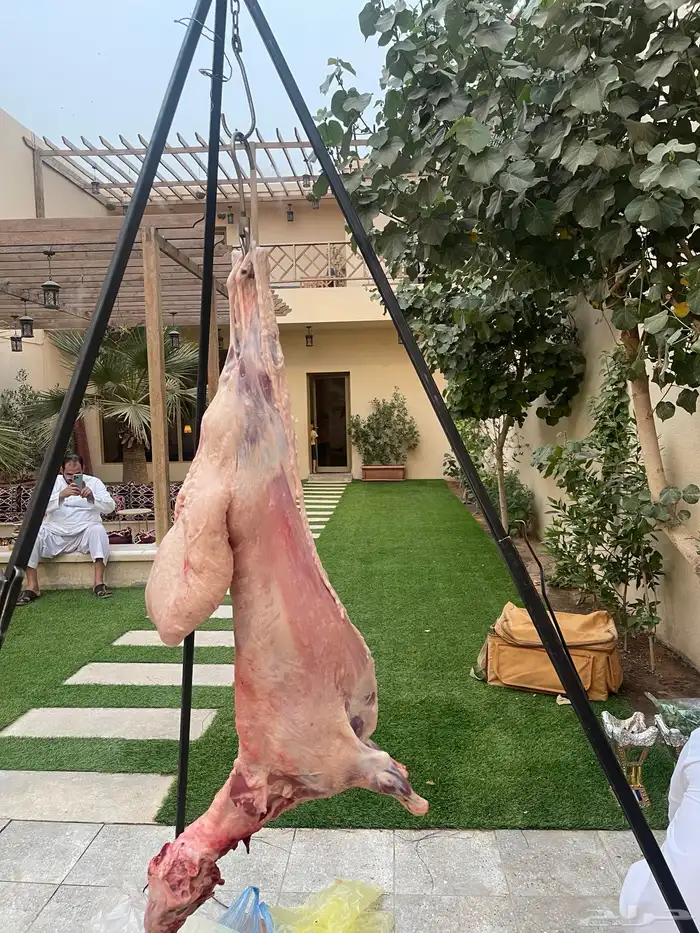 مشويات 10