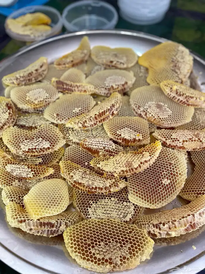 عسل القرض الجبلي 4