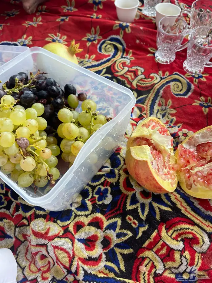 استراحة بضيافة خاصه ومزرعة في الحمرة ظهران الجنوب 38