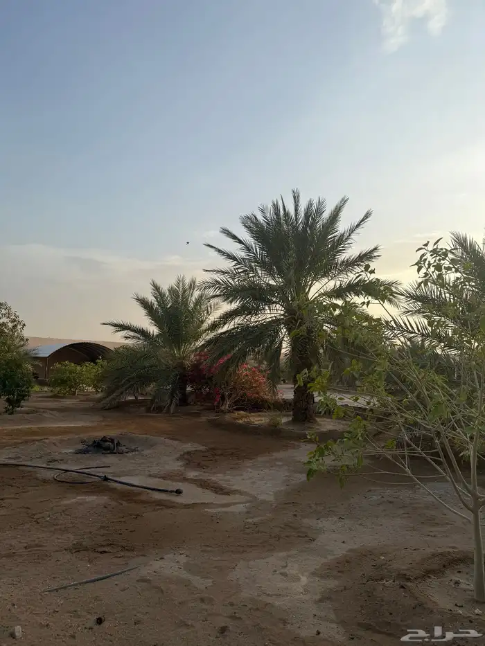 للبيع مزرعة على طريق هدى الشام مخطط الريم 2