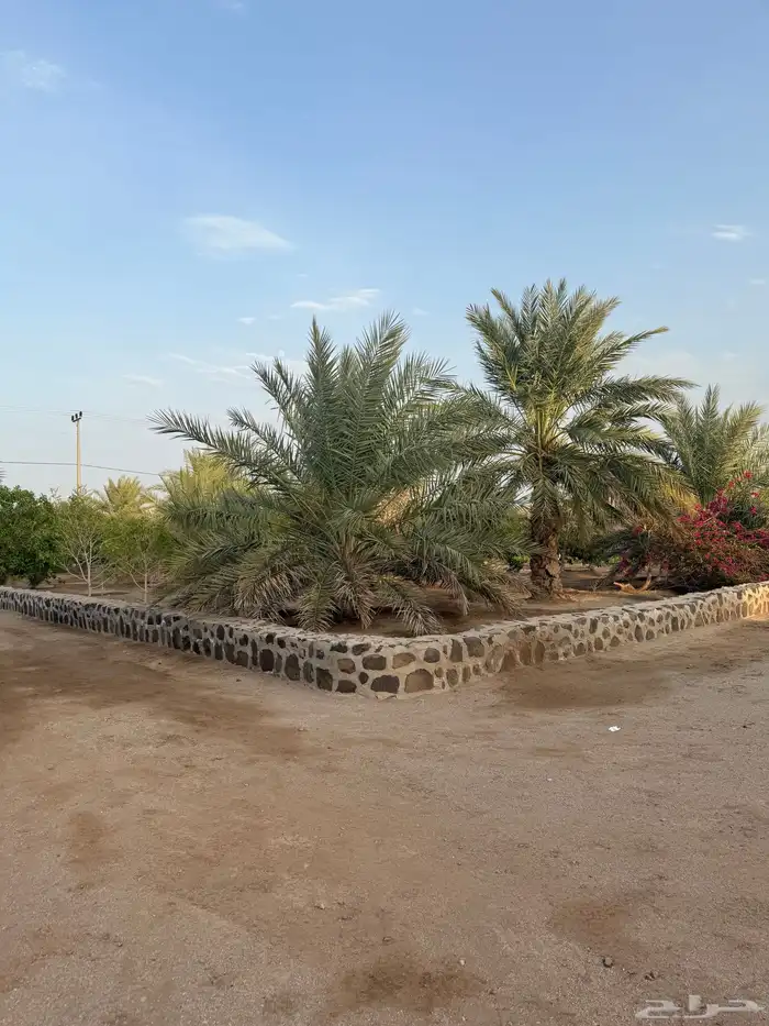 للبيع مزرعة على طريق هدى الشام مخطط الريم 3