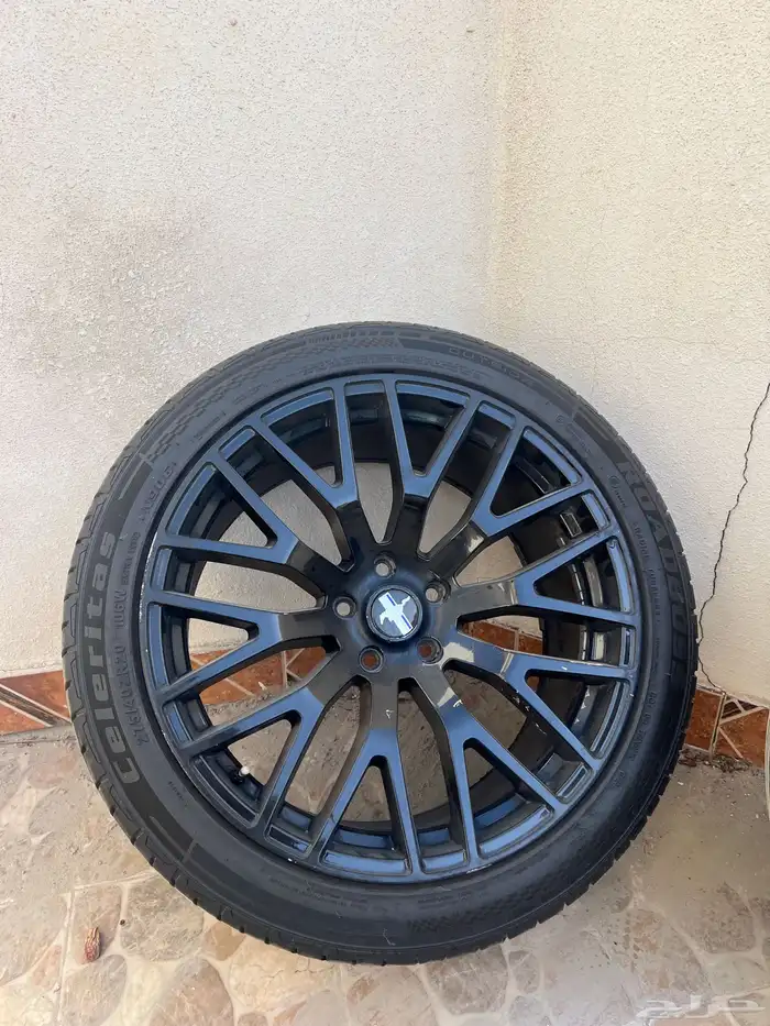 جنوط موستنج 3