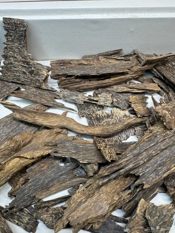 عود ماليزي قديم نوادر 3