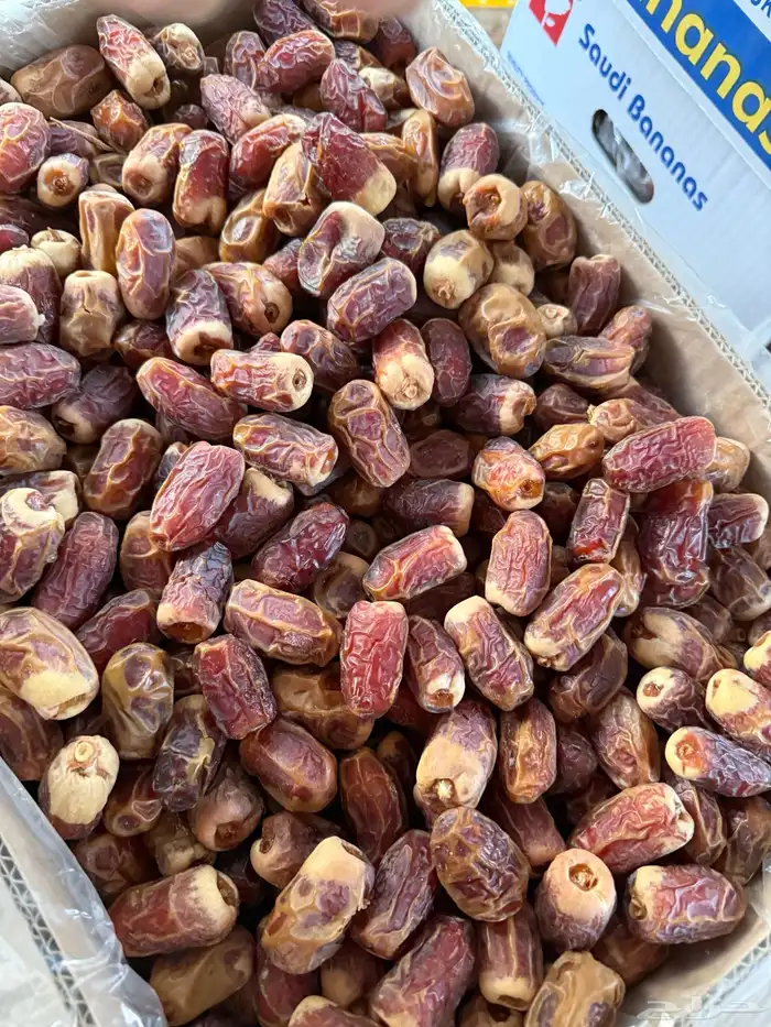 تمر للبيع 5