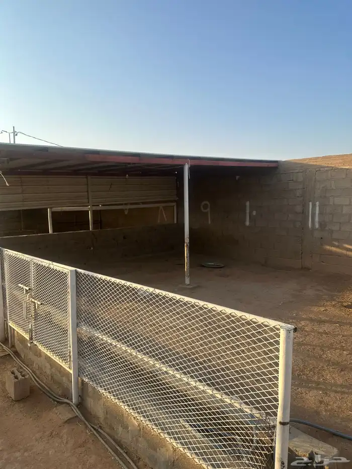 اجار حظائر غنم مع العرض 4