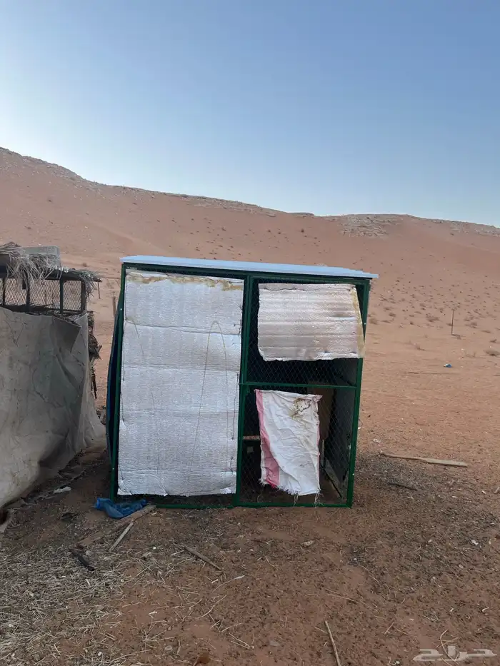 السلام عليكم ورحمة الله وبركاته 0