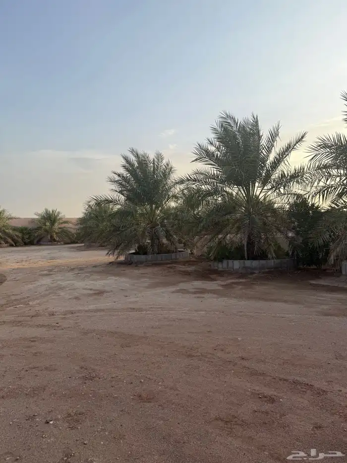 للبيع مزرعة على طريق هدى الشام مخطط الريم 4