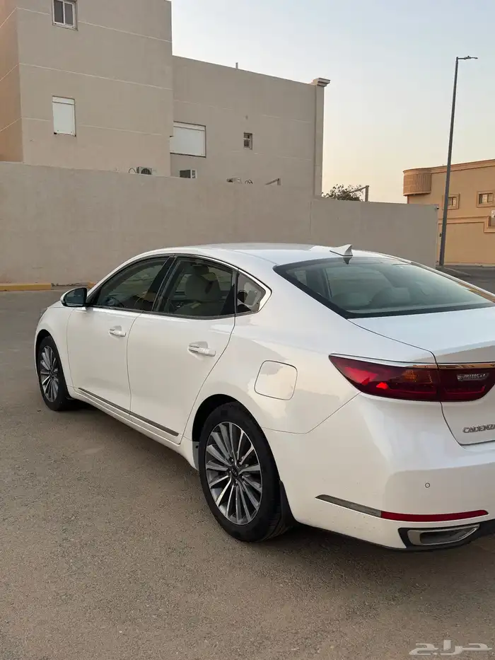 كادينزا 2020 سعودي نظيفه جدا 15